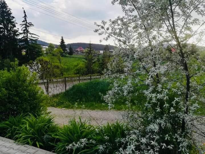 Pensiunea Valurile Bistritei Vatra Dornei Εξωτερικό φωτογραφία